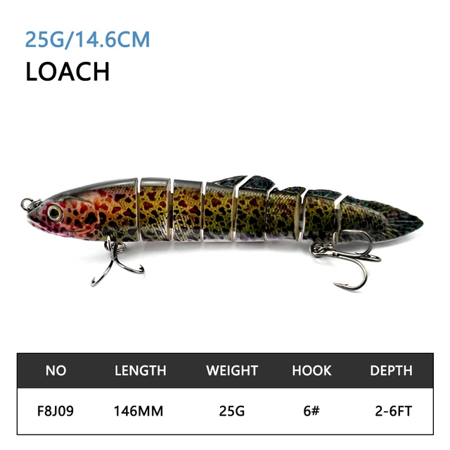 ODS 14.6cm 25g Fishing Lure Lifelike Loach Bait Multi Jointed Swimbait with  Fishing Hooks for Freshwater Saltwater - AliExpress