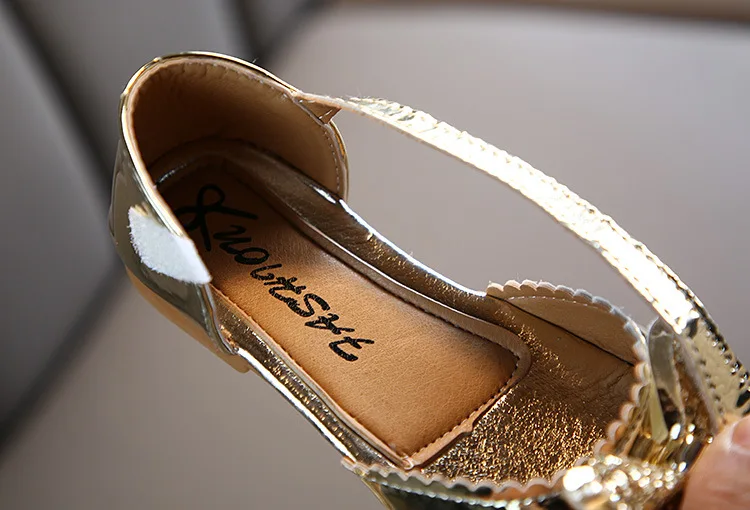 13012698244_2067024571