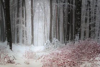 

HuaYi winter scene photography snow decorationd background photography for studio photoshoot photography backdrops W-3722