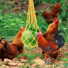 

Hanging Bird feeder Durable Lightweight Hanging Design Bird Hanging Net for Backyard Chicken Feeding Feeding Net