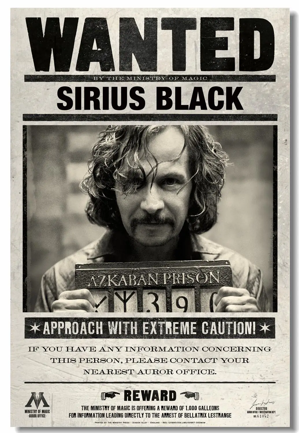 Печать на заказ холст украшение стены HP3 хотел Sirius черный плакат Давид Thewlis стикер