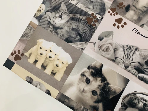Милый котенок кошка, щенок, домашний питомец собака пэчворк ПВХ акриловый полиэфирный Композитный Водонепроницаемый Оксфорд Ткань DIY скатерть 145 см* 91 см - Цвет: B