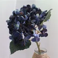 Autumn BLUE C