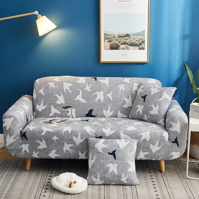 12342849219_379212414.640x640