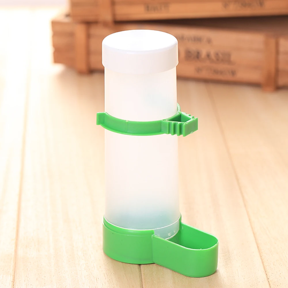 Novelty Parrot Bird Automatic Feeder Feeding Food Birds Budgie Cockatiel