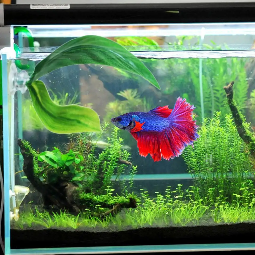 Betta Plant Leaf Hammock Tropical Fish Leaf Pad Rest Bed Fish Tank Aquarium Spawning Foldable Double Layer Ornamental Leaf