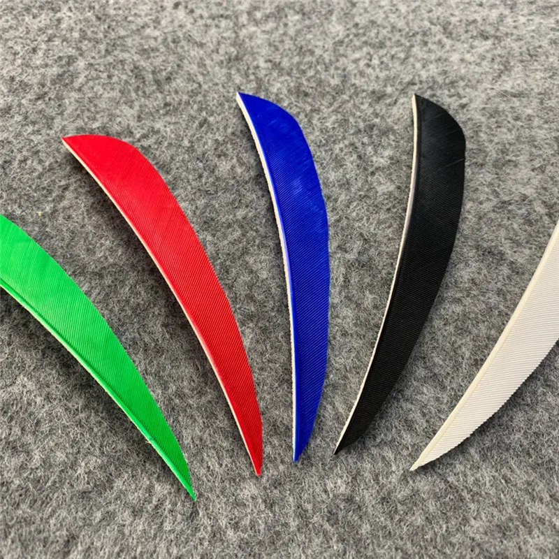 303557_no-logo_303557-3-04-g