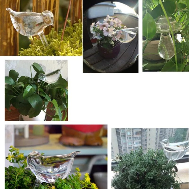12 видов стилей дом/сад комнатное растение Автоматическая самополивающаяся стеклянная птица лейки цветы растения декоративные стеклянные лейки