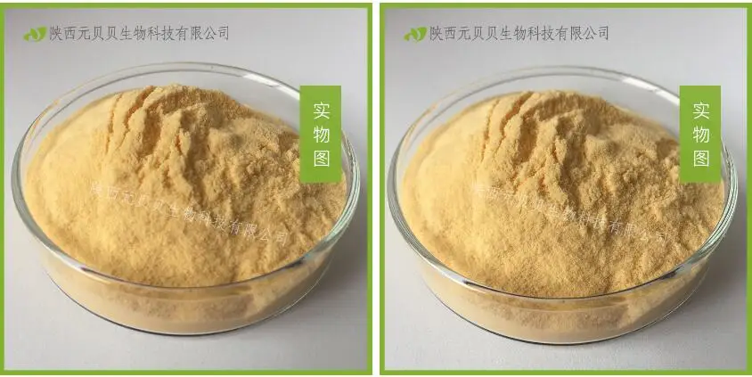 Pure Natural Plant Papaya Powder,Anti cancer,tumor,lymphatic leukemia