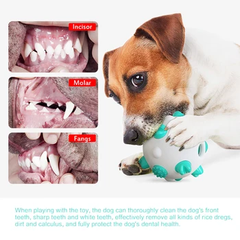 

Pet Toy Tooth Cleaning Ball Bite-resistant Molar Dog Toothbrush Interactive Training Dog Toy Dog Chew Gum