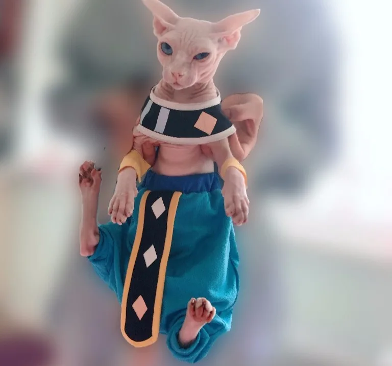 H82be694b04cc4ed691d65b4007d1f6a9j