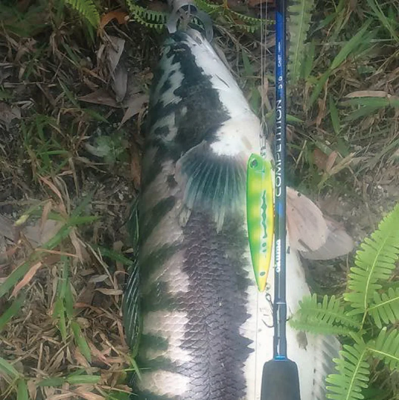 Плавающая приманка Dw58, карандаш для поверхности воды, 10 грамм, 21 грамм, стиль, приманка с длинным изображением слова, жесткая приманка для собак