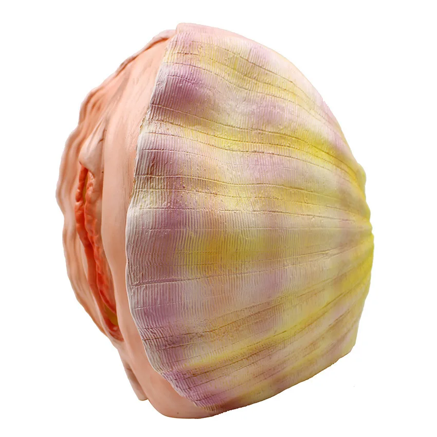 

Funny Shell Mask Halloween Environmentally Friendly Milk Mask hallowmas Latex Mask
