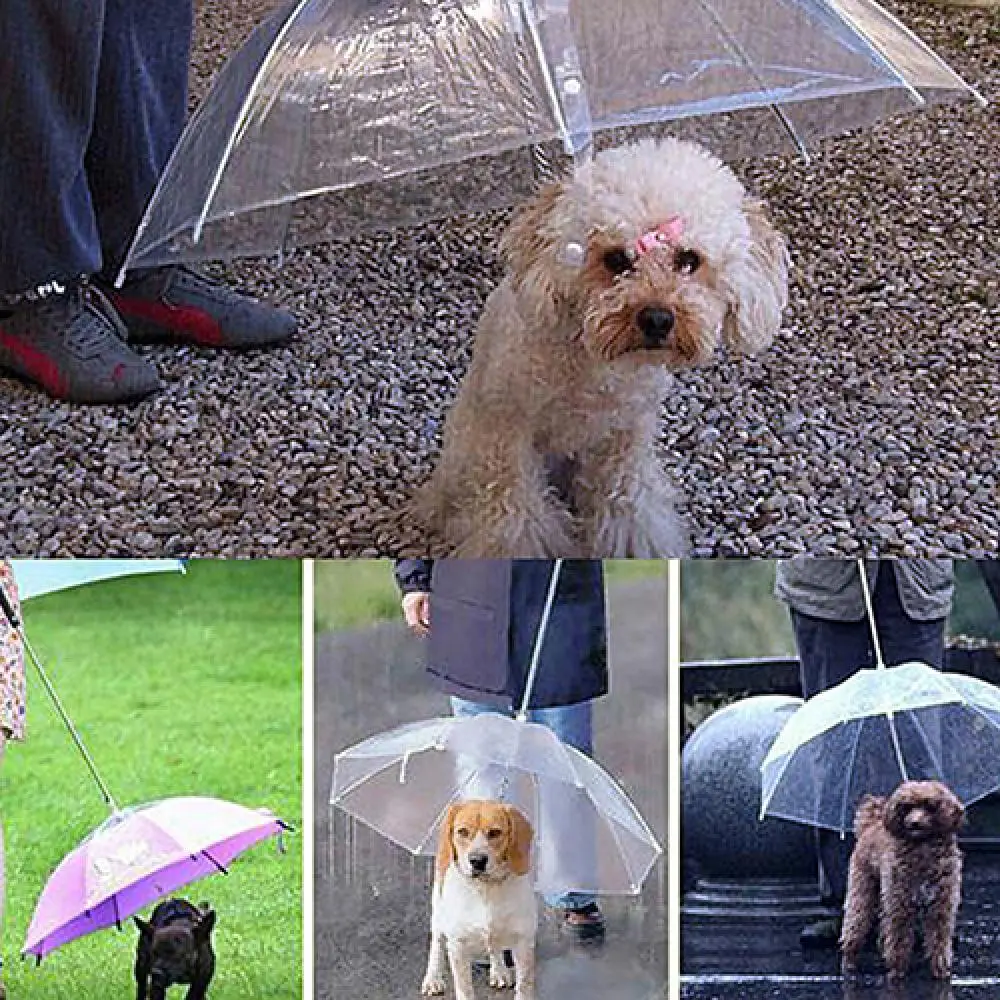 Transparent Umbrella Umbrellas For Dogs Dog Rain Coats Cover Umbrella Walking Waterproof Clear Cover Built