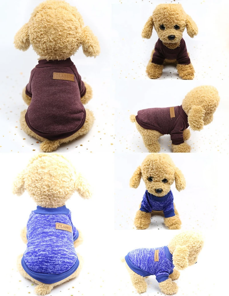 dog clothes (9)