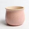 6 Colors Simple Pure Color Ceramic Planter Fleshy Plant Pot Flower Plant Vase Micro Landscape Home Garden Decoration 6