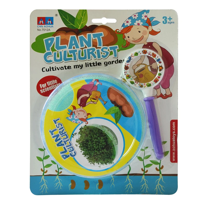 Семена Петри DIY растения културист раннее образование игрушка игрушки для