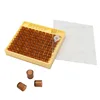 Beekeeping Queen Rearing Cupkit Box 120x Brown Cell Cups System Cupu larve Tools The Queen's Box System Plastic Nicot Cage Tools ► Photo 1/6