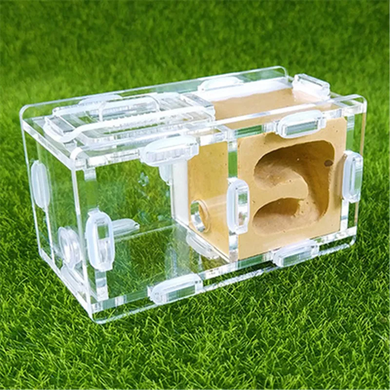 mini-ants-nest-ant-farm-acrylic-gypsum-for-young-queens-and-small-colonies-ants-house-ant (2)