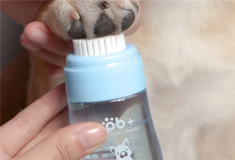 10204738032_18356473992