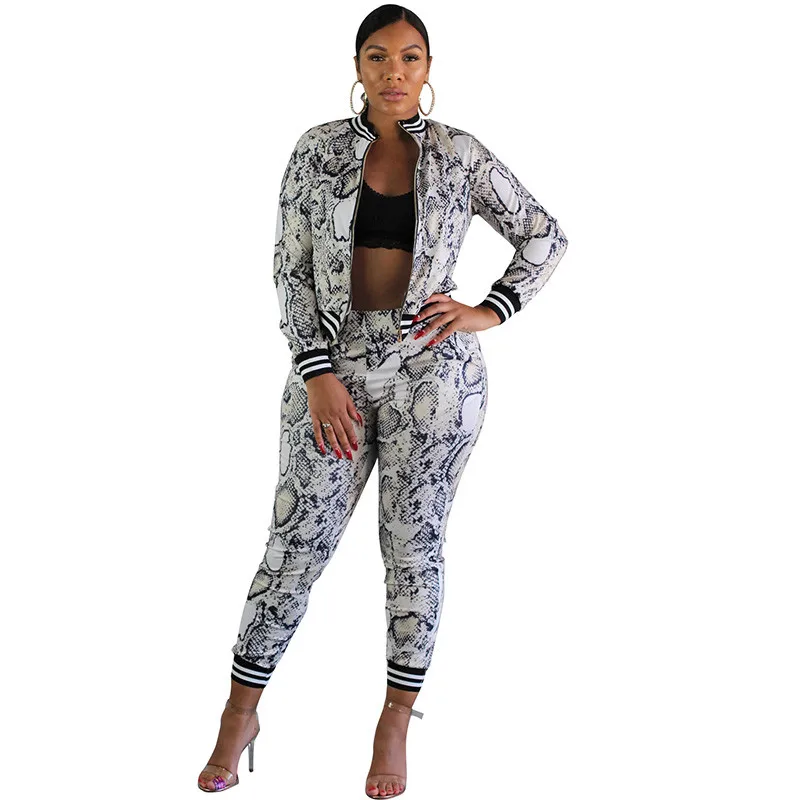 

Snakeskin Print 2 Piece Outfits for Women Autumn Long Sleeve Jacket Top and Pants Suits Casual Tracksuits Two Piece Matching Set