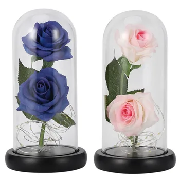 

JEYL Roses Enchanted Red Silk Rose with Fallen Petals Led Fairy String Lights in a e, Gifts for Anniversary, Wedding