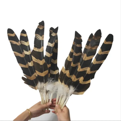 10pcs/lot Natural Eagle Feathers For Crafts 22-26inches/55-65cm Top Quality Eagle Bird Feather Decoration Diy Jewelry Plume