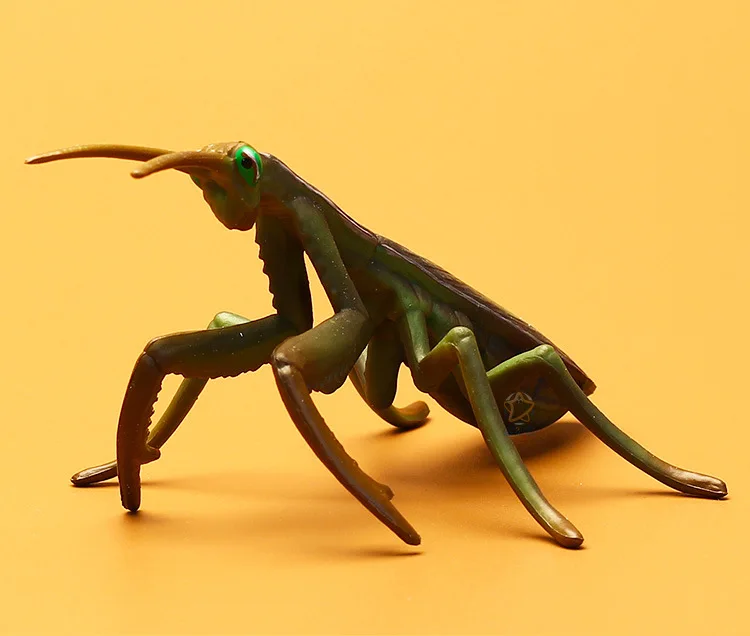 Бутик твердый большой Mantis статическая модель насекомое животное модель игрушки Дети Раннее детство Когнитивная обучающая модель