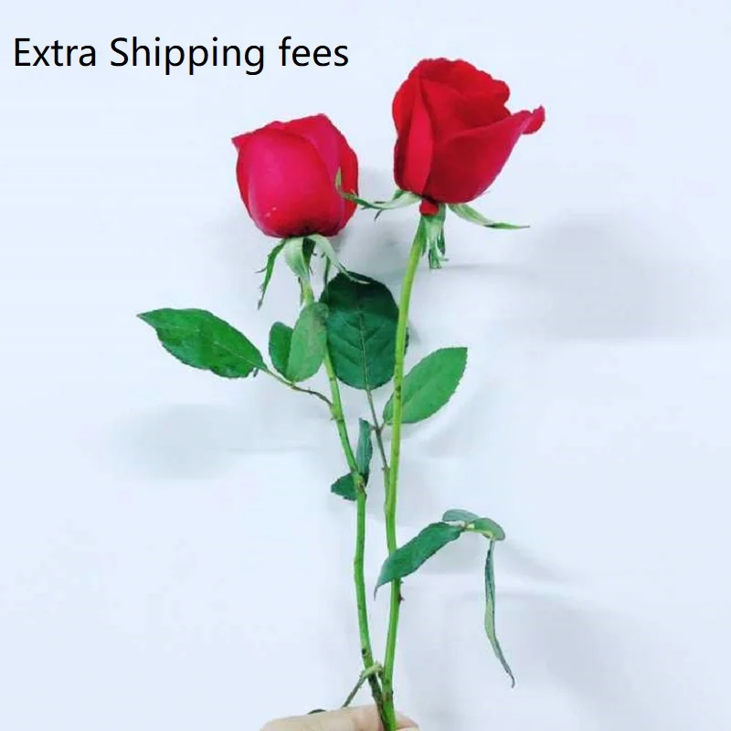 

extra shipping fees