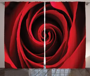 

Rose Window Curtains Rose Sweetheart Valentine Sensual Romantic Fragrant Love Symbol Close Up Macro Picture Living Room Bedroom