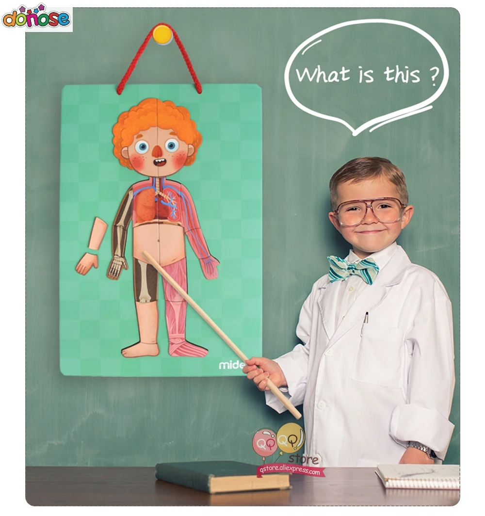Тело Обучающие карточки магнитная головоломка забавная биология научная образовательная Игрушки для раннего обучения для детей подарок