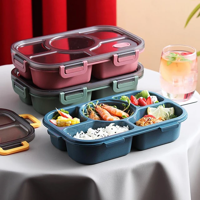 Adult Lunch Box Containers, Bento Lunch Boxes Adults