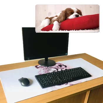 

Rubber Non-slip Soft Gaming Mousepad Fasion Mat Large Extend Pad For Trackball Laser Optical Mouse Speed Keyboard For Overwatch