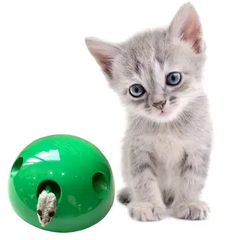

Cat Training Fun Toy From Mentally Stimulating Pet Cat Catching Device