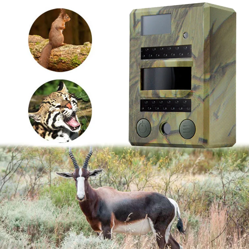 

S690 Hunting Camera HD 720P Waterproof Trail Camera 8MP Infrared Night Vision 30FPS Digital Camera Sensor Outdoor Surveillance