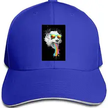 Радуга шапки в виде панды, мужские и женские бейсболки