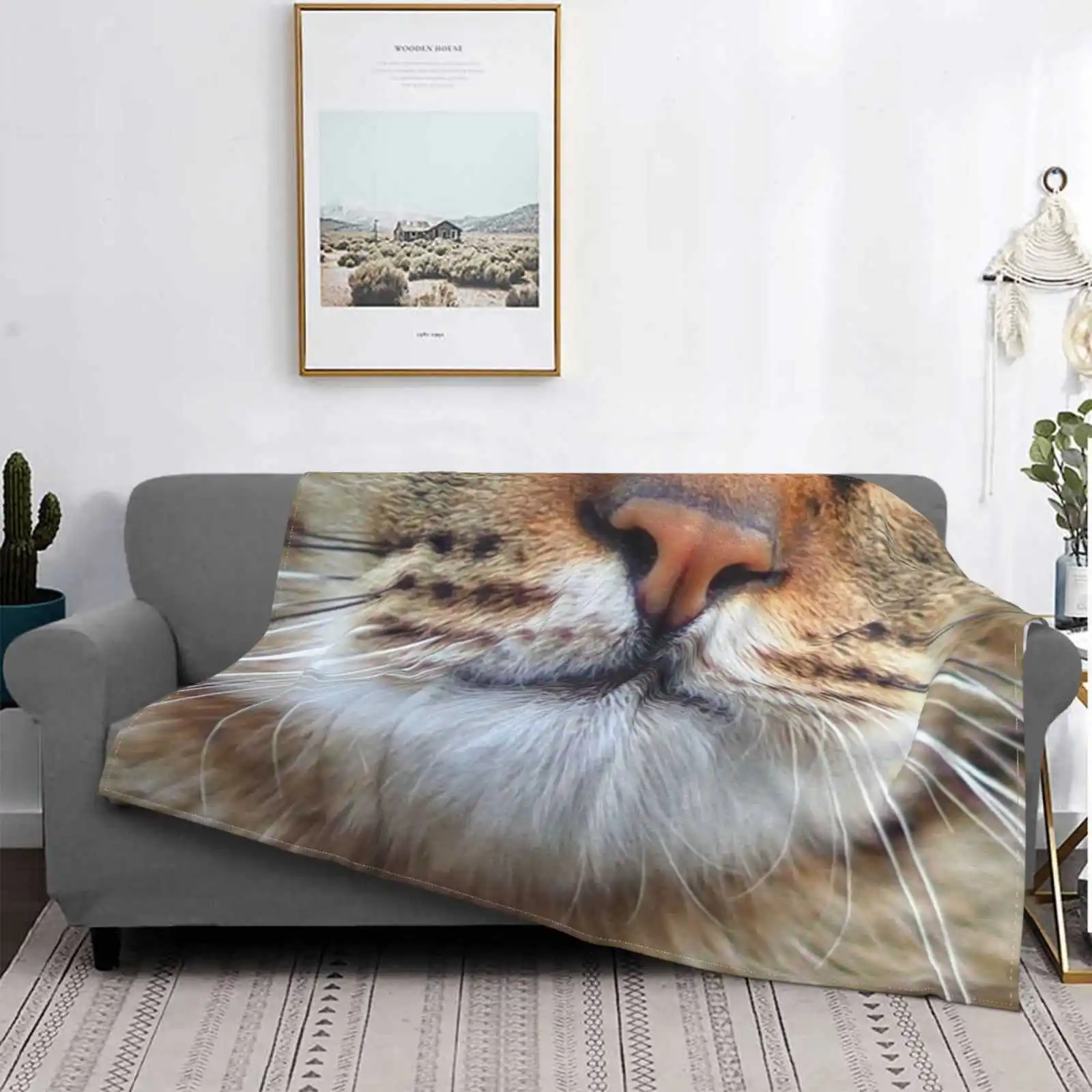 Maschera Per Il Viso Di Sgombro Di Gatto Tigre Ultima Coperta Sottile E Leggera Super Morbida Damho Gatto Esotico Gatto Gatto Gatto Con Gatti Con Facc