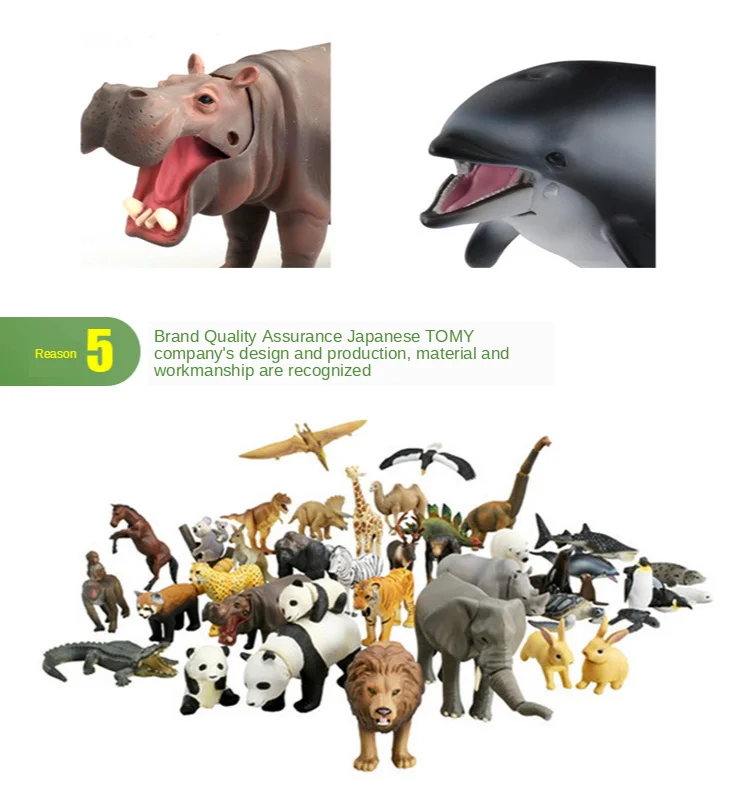 TB2Mt1Sy.dnpuFjSZPhXXbChpXa_!!