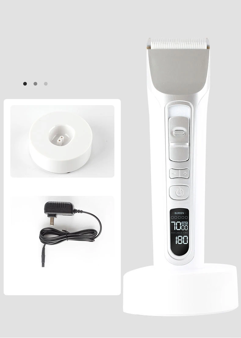 16851749714_1264179518