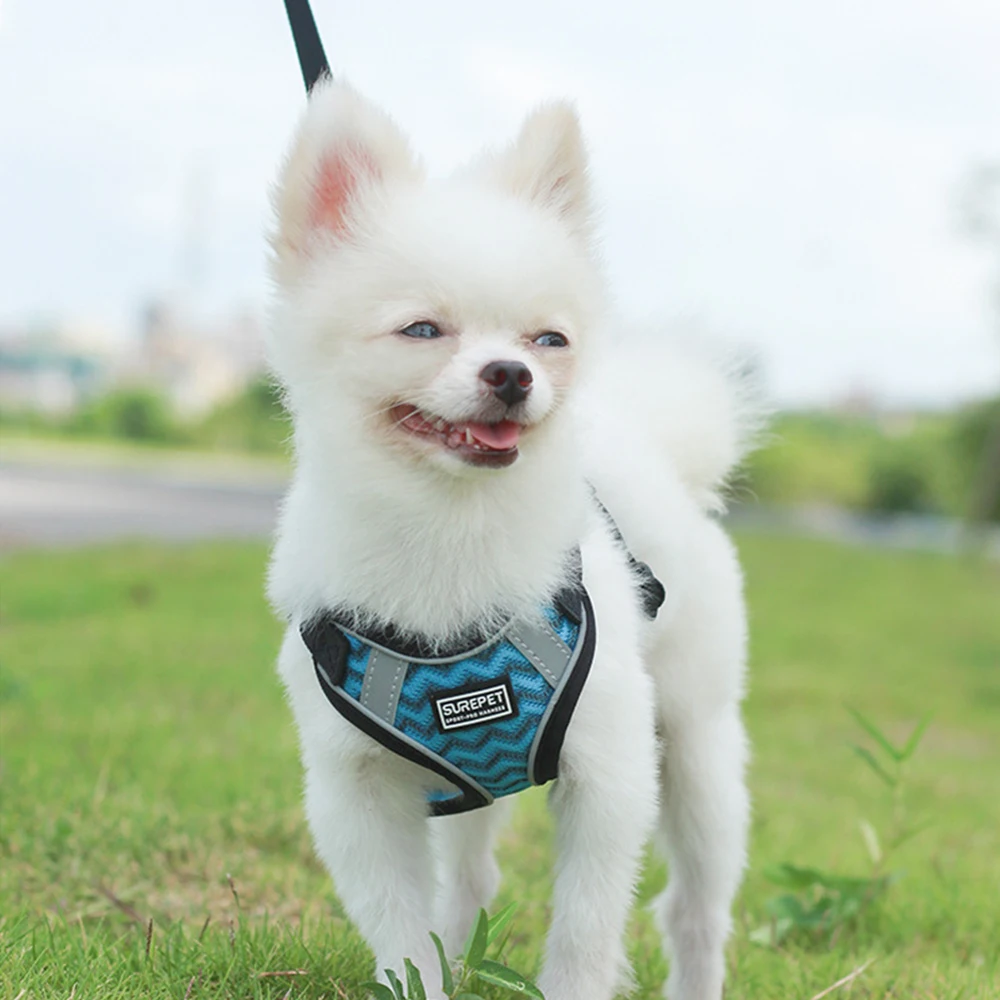 

Reflective Safety Pet Dog Nylon Mesh Harness and Leash Set for Small Medium Dogs Cat Harnesses Vest Puppy Chest Strap S/M/L/XL