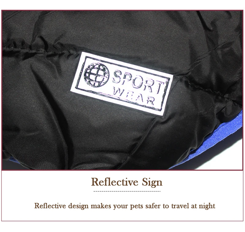 11197935145_1877549386