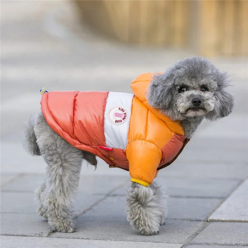 Pet куртки для собак осень Зимняя Одежда для собак с хлопковой подкладкой теплые 2 брюки с широкими штанинами пальто с капюшоном маленькие собаки; теплая плотная куртка
