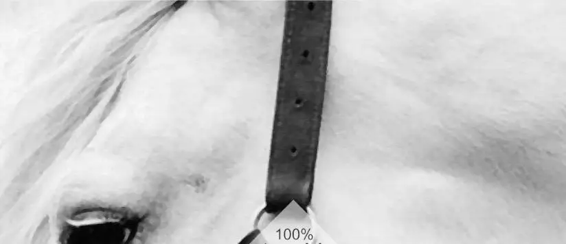 QQ截图20200627171801