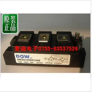 

DM2G100SH12AE DM2G100SH12A --MDDZ