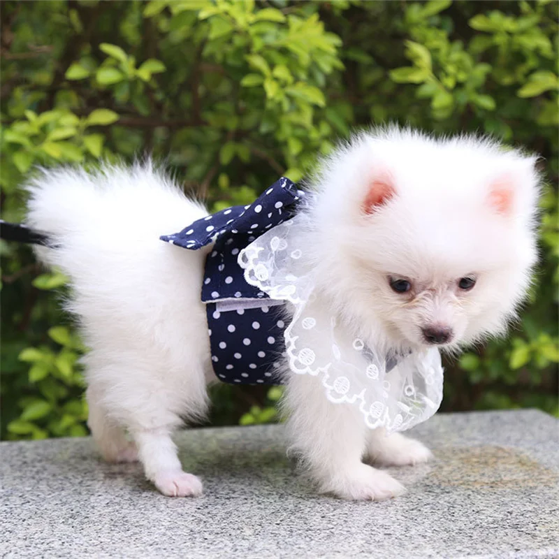 Adjustable Dog Harness Set with Leash - PeticaDeals