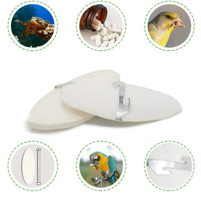 Jibión de 12/15cm para alimento de aves y loros, piedra para recoger pájaros, periquito de Mascota, para hámster, aves, Pájaro de juguete, accesorios
