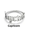 Capricorn