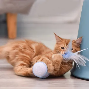 

Pet Cat Toys Funny Cat Toy Smart Electric Balance Car USB Charging And Storage Feather Funny Cat Stick Pet Cat Toys Hot.