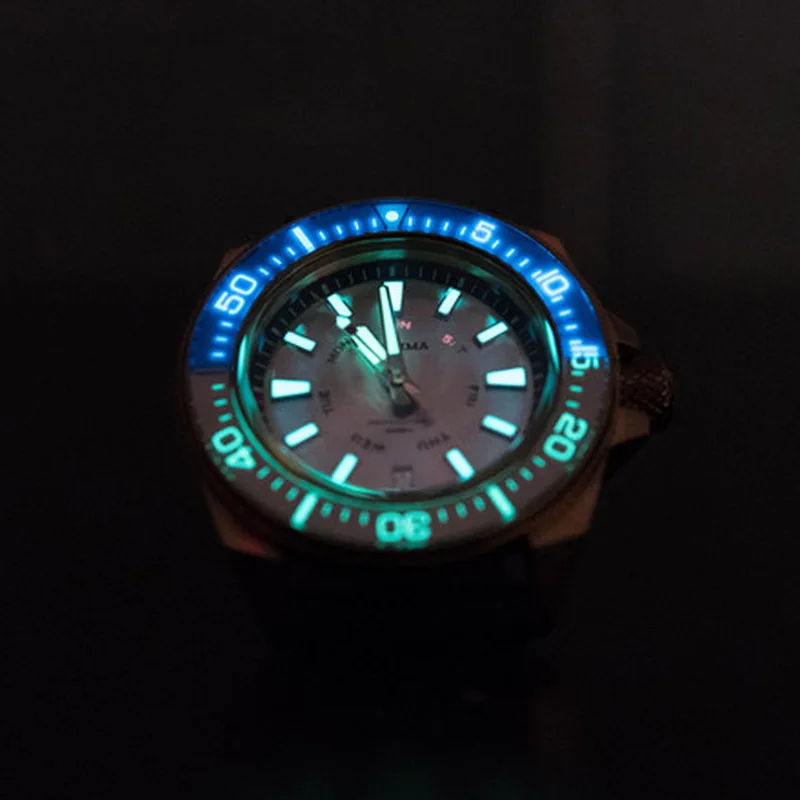 diver watch 15