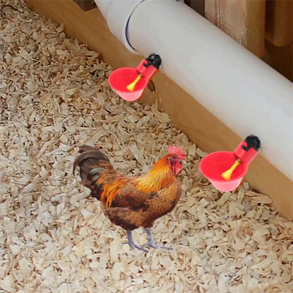 b530ffa2841b3db24a41803cbdf68a4e